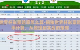 世界杯彩票赔率怎么算-揭秘世界杯彩票赔率计算，从原理到实战的策略