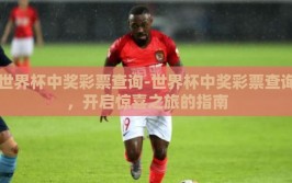 世界杯中奖彩票查询-世界杯中奖彩票查询，开启惊喜之旅的指南