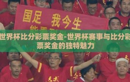 世界杯比分彩票奖金-世界杯赛事与比分彩票奖金的独特魅力