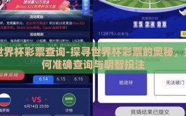 世界杯彩票查询-探寻世界杯彩票的奥秘，如何准确查询与明智投注