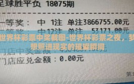 世界杯彩票中奖截图-世界杯彩票之夜，梦想照进现实的璀璨瞬间