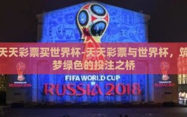 天天彩票买世界杯-天天彩票与世界杯，筑梦绿色的投注之桥