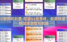 02世界杯彩票-回望02世界杯，彩票热潮下的足球激情与机遇