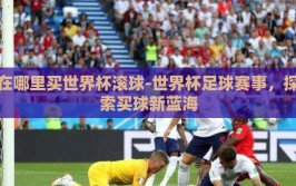 在哪里买世界杯滚球-世界杯足球赛事，探索买球新蓝海