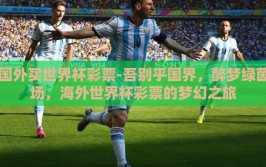 国外买世界杯彩票-吾别乎国界，醉梦绿茵场，海外世界杯彩票的梦幻之旅