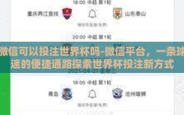 微信可以投注世界杯吗-微信平台，一条球迷的便捷通路探索世界杯投注新方式