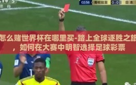 怎么赌世界杯在哪里买-踏上全球逐胜之旅，如何在大赛中明智选择足球彩票