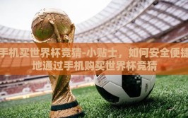 手机买世界杯竞猜-小贴士，如何安全便捷地通过手机购买世界杯竞猜