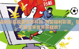 福利彩票能买世界杯吗-购买福利彩票，能不能坐享世界杯狂欢？