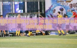 体育彩票世界杯50元-体育彩票与世界杯的50元激情碰撞