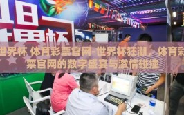 世界杯 体育彩票官网-世界杯狂潮，体育彩票官网的数字盛宴与激情碰撞