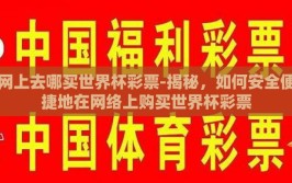 网上去哪买世界杯彩票-揭秘，如何安全便捷地在网络上购买世界杯彩票
