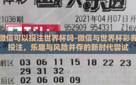 微信可以投注世界杯吗-微信与世界杯彩券投注，乐趣与风险并存的新时代尝试