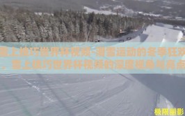 雪上技巧世界杯视频-滑雪运动的冬季狂欢，雪上技巧世界杯视频的深度视角与亮点