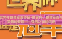 世界杯体育彩票夺冠-世界杯，体育彩票与梦想的碰撞——夺冠之光的追逐