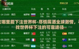 在哪里能下注世界杯-尽情挥洒全球激情，寻找世界杯下注的可靠途径