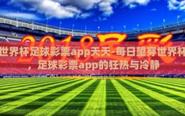 世界杯足球彩票app天天-每日望穿世界杯，足球彩票app的狂热与冷静