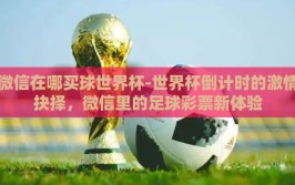 微信在哪买球世界杯-世界杯倒计时的激情抉择，微信里的足球彩票新体验