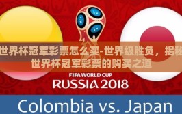 世界杯冠军彩票怎么买-世界级胜负，揭秘世界杯冠军彩票的购买之道