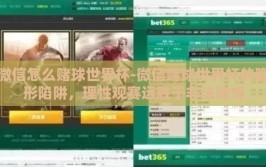 微信怎么赌球世界杯-微信赌球世界杯的隐形陷阱，理性观赛远胜于非法赌博
