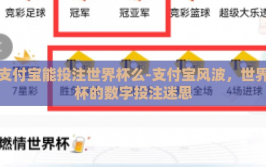 支付宝能投注世界杯么-支付宝风波，世界杯的数字投注迷思