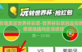 在哪里买世界杯彩票-世界杯彩票购买指南，便捷选择与合法途径