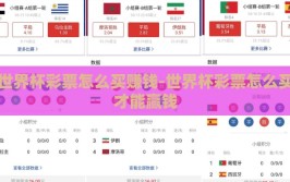 世界杯彩票怎么买赚钱-世界杯彩票怎么买才能赢钱