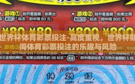 世界杯体育彩票投注-高度重视，世界杯期间体育彩票投注的乐趣与风险