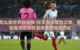 怎么赌世界杯球赛-在享受与冒险之间，理智看待世界杯足球赛的娱乐方式