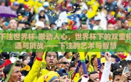 下注世界杯-激动人心，世界杯下的双重机遇与挑战——下注的艺术与智慧