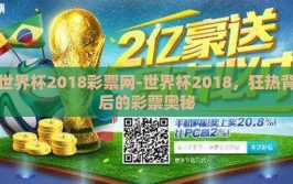 世界杯2018彩票网-世界杯2018，狂热背后的彩票奥秘