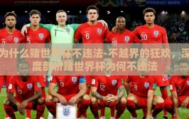 为什么赌世界杯不违法-不越界的狂欢，深度剖析赌世界杯为何不违法