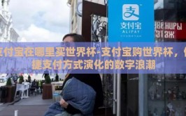 支付宝在哪里买世界杯-支付宝购世界杯，便捷支付方式演化的数字浪潮