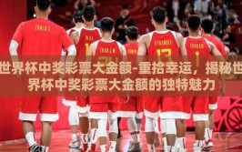 世界杯中奖彩票大金额-重拾幸运，揭秘世界杯中奖彩票大金额的独特魅力