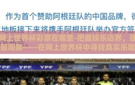 网上世界杯彩票在哪里-把握娱乐边界，理智观赛——在网上世界杯中寻找真实乐趣