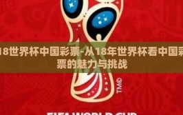 18世界杯中国彩票-从18年世界杯看中国彩票的魅力与挑战