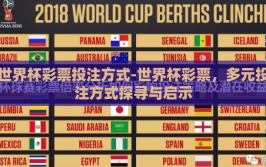 世界杯彩票投注方式-世界杯彩票，多元投注方式探寻与启示
