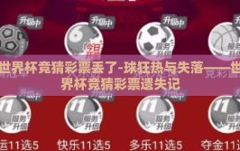 世界杯竞猜彩票丢了-球狂热与失落——世界杯竞猜彩票遗失记