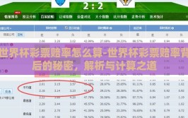世界杯彩票赔率怎么算-世界杯彩票赔率背后的秘密，解析与计算之道