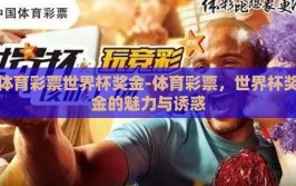 体育彩票世界杯奖金-体育彩票，世界杯奖金的魅力与诱惑
