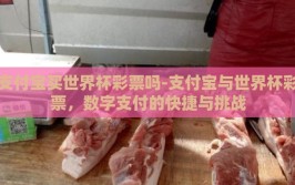 支付宝买世界杯彩票吗-支付宝与世界杯彩票，数字支付的快捷与挑战