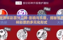 世界杯彩票分几种-影响与乐趣，揭秘世界杯彩票的多元化形式