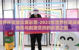 世界杯足球比赛彩票-2023年世界杯足球赛，快乐与刺激交织的彩票之旅