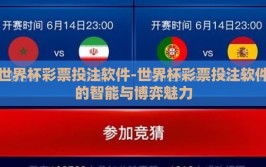世界杯彩票投注软件-世界杯彩票投注软件的智能与博弈魅力