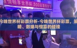 今晚世界杯彩票分析-今晚世界杯彩票，策略、数据与惊喜的碰撞