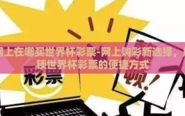 网上在哪买世界杯彩票-网上购彩新选择，解锁世界杯彩票的便捷方式