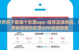 世界杯下载哪个彩票app-追寻足球热情，世界杯期间的彩票APP选择指南