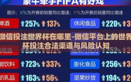 微信投注世界杯在哪里-微信平台上的世界杯投注合法渠道与风险认知
