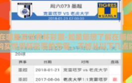 在哪里买世界杯彩票-如果您想了解在哪能购买世界杯彩票的方案，不妨从以下几点以轻松聊天的语气讨论该话题