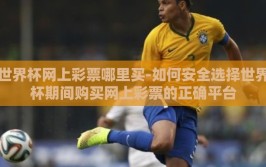 世界杯网上彩票哪里买-如何安全选择世界杯期间购买网上彩票的正确平台